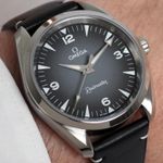 Omega Seamaster Railmaster 235.12.38.20.06.001 (2025) - Grey dial 38 mm Steel case (2/4)