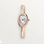 Cartier Baignoire WGBA0051 (2025) - Silver dial 17 mm Rose Gold case (1/1)