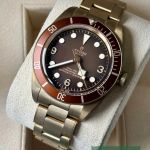 Tudor Black Bay Bronze 79012M (2025) - Bruin wijzerplaat 39mm Brons (3/7)
