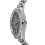 Omega Seamaster Railmaster 235.10.38.20.06.001 (2026) - Grey dial 38 mm Steel case (4/8)