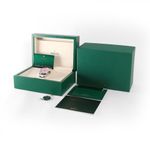 Rolex Oyster Perpetual 41 134300 (2025) - 41 mm Steel case (3/3)