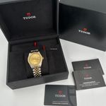 Tudor Black Bay S&G 79673 - (3/4)