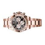 Rolex Daytona 126505 - (5/6)