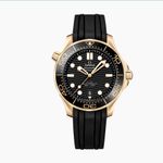 Omega Seamaster Diver 300 M 210.62.42.20.01.003 - (1/1)
