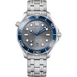 Omega Seamaster Diver 300 M 210.30.42.20.06.001 (2025) - Grijs wijzerplaat 42mm Staal (1/1)