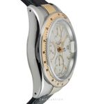 Tudor Tiger Prince Date 79263P - (6/8)