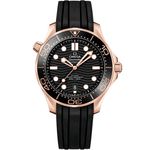 Omega Seamaster Diver 300 M 210.62.42.20.01.002 - (1/1)