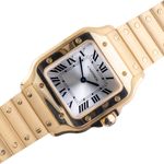 Cartier Santos WSSA0029 - (1/8)