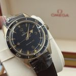 Omega Seamaster 300 234.92.41.21.10.001 - (1/10)