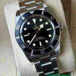 Tudor Black Bay 54 79000N - (1/7)