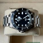 Tudor Pelagos 25600TN - (4/7)