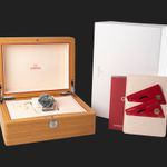 Omega Seamaster Diver 300 M 210.30.42.20.10.001 (2026) - Green dial 42 mm Steel case (8/8)