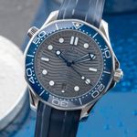 Omega Seamaster Diver 300 M 210.32.42.20.06.001 (Unknown (random serial)) - Grey dial 42 mm Steel case (3/8)
