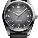 Omega Seamaster Railmaster 235.12.38.20.06.001 - (1/1)