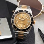 Tudor Black Bay S&G 79733N - (3/8)