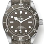 Tudor Black Bay Fifty-Eight 79010SG (2026) - Grey dial 39 mm Silver case (1/1)