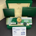Rolex Datejust 41 126333 (2024) - Champagne dial 41 mm Gold/Steel case (3/8)