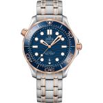 Omega Seamaster Diver 300 M 210.20.42.20.03.002 (2025) - Blue dial 42 mm Steel case (1/1)