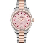 Omega Seamaster Aqua Terra 220.25.34.20.60.001 - (1/1)