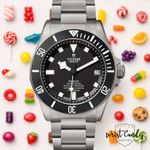 Tudor Pelagos 25600TN - (1/8)