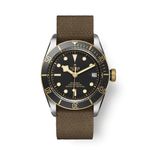 Tudor Black Bay S&G 79733N - (1/1)