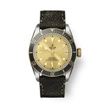 Tudor Black Bay S&G 79733N - (1/1)