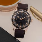 Omega Seamaster 300 234.92.41.21.10.001 - (3/8)