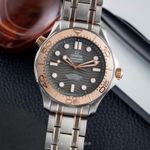 Omega Seamaster Diver 300 M 210.60.42.20.99.001 (Unknown (random serial)) - Grey dial 42 mm Titanium case (1/8)