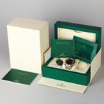Rolex Datejust 41 126333 (2023) - 41mm Goud/Staal (8/8)