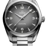 Omega Seamaster Railmaster 235.10.38.20.06.001 (2026) - Grey dial 38 mm Steel case (1/1)