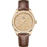 Omega Seamaster Aqua Terra 220.58.34.20.99.008 - (1/1)