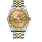 Tudor Black Bay S&G 79653 - (1/1)