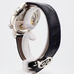 Patek Philippe Celestial 6102P-001 (2013) - Blauw wijzerplaat 44mm Platina (18/32)