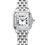 Cartier Panthère WSPN0012 (2026) - Silver dial 25 mm Steel case (1/1)