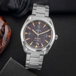 Omega Seamaster Railmaster 220.10.40.20.01.001 - (1/8)