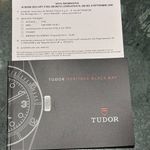 Tudor Black Bay Bronze 79250BM (2016) - Brown dial 43 mm Bronze case (7/7)