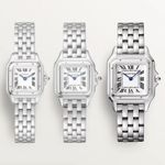 Cartier Panthère WSPN0015 (2025) - Silver dial 27 mm Steel case (3/8)