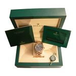 Rolex Sky-Dweller 336935 - (4/4)