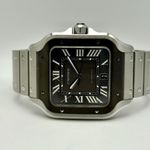 Cartier Santos WSSA0037 - (3/16)