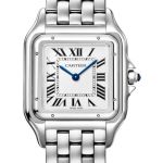 Cartier Panthère WSPN0016 (2026) - Silver dial 31 mm Steel case (1/1)