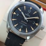 Omega Seamaster Railmaster 220.12.40.20.01.001 - (6/8)