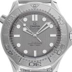 Omega Seamaster Diver 300 M 210.30.42.20.06.002 (2026) - Grey dial 42 mm Steel case (1/7)