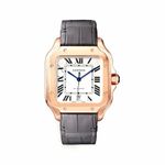 Cartier Santos WGSA0019 - (5/5)