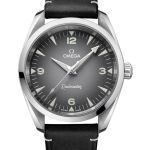 Omega Seamaster Railmaster 235.12.38.20.06.001 (2026) - Grijs wijzerplaat 38mm Staal (1/1)
