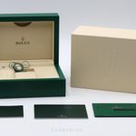 Rolex Explorer II 216570 (Unknown (random serial)) - 42 mm Steel case (7/8)