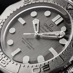 Omega Seamaster Diver 300 M 210.30.42.20.06.002 (2026) - Grey dial 42 mm Steel case (3/7)
