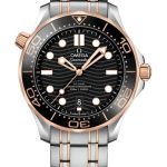 Omega Seamaster Diver 300 M 210.20.42.20.01.001 (2026) - Zwart wijzerplaat 42mm Staal (1/1)