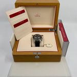 Omega Seamaster Planet Ocean Chronograph 215.32.46.51.01.004 - (3/8)
