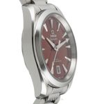 Omega Seamaster Aqua Terra 220.10.38.20.13.003 - (6/8)