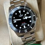 Tudor Pelagos 25407N (2026) - 39mm Titanium (1/7)